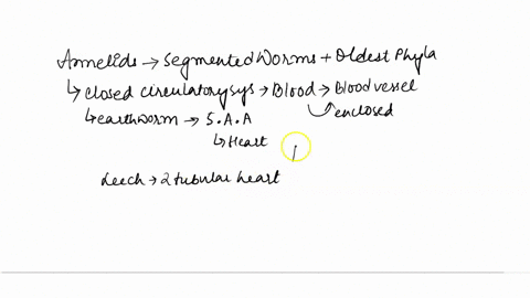 annellda-which-of-the-following-statements-about-annelids-are-true-tick-all-answers-that-you-believe-to-be-correct-annelids-have-several-hearts-pumping-blood-in-a-closed-circulatory-system-t-74458
