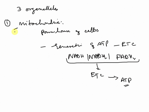 choose-3-organelles-found-in-animal-cells-and-explain-why-the-cell-could-not-function-without-them-45295