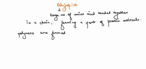 a-polypeptide-is-an-addition-polymer-of-amino-acids-condensation-polymer-of-amino-acids-polymer-of-sugar-molecules-part-0f-nucleic-acids-none-of-these-02402