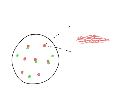 a-single-colony-on-a-plate-that-is-isolated-not-touching-any-other-colony-is-assumed-to-be-a-pure-culture-ie-containing-only-one-species-of-microbe-explain-why-this-is-so-hint-make-sure-you-47237