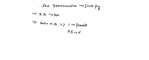 what-would-be-the-sex-of-a-fruit-fly-that-is-xxx-female-male-metafemale-metamale-intersex-49808