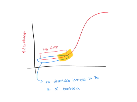 what-cell-activity-of-bacteria-in-short-lag-phase