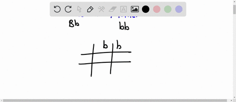 complete-the-following-crosses-by-drawing-a-punnett-square-a-father-has-brown-eyes-bb-and-the-mother-has-blue-eyes-bb-what-percentage-of-the-offspring-could-show-blue-eyesb-show-the-resultin-63437