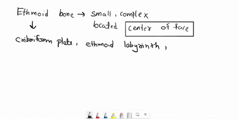 where-is-the-ethmoid-bone-relative-to-the-lacrimal-bone-84908