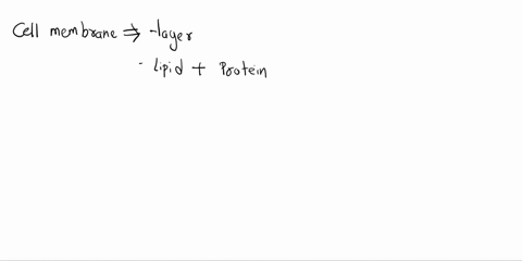 what-are-two-things-that-can-pass-through-a-cell-membrane-which-makes-it-selectively-permeable-73238