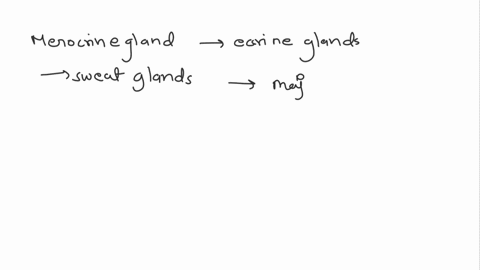 which-type-of-gland-plays-an-important-role-in-thermoregulation-merocrine-llhholocrine-lapocrine-ldsebaceous-71883
