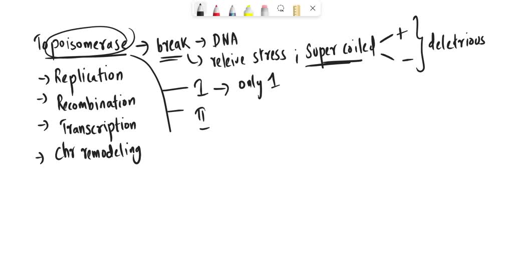 SOLVED: Describe how the model of DNA replication illustrates the