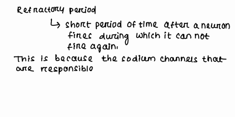 why-the-refractory-period-sets-a-limit-to-how-frequently-a-neuron-can-fire-26963
