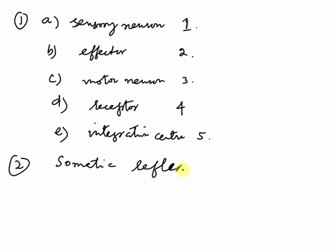 pre-lab-activity-4analyzing-a-spinal-reflex-match-each-of-the-following-components-of-a-reflex-are-with-its-description-asensory-neuron-beffector-1reccives-the-stimulus-cmotor-neuron-2-trans-93225