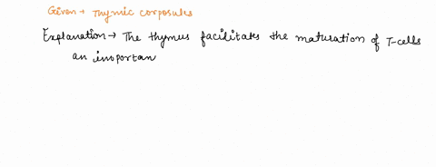 6-thymic-corpuscles-function-in-the-development-of-regulatory-t-cells-false-true-15524