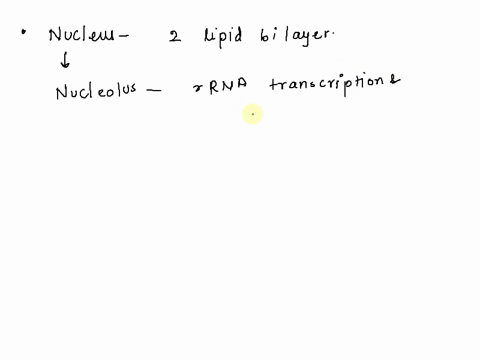 13-which-answer-below-is-not-a-feature-of-the-nucleus-a-it-is-an-organelle-surrounded-by-a-lipid-bilayer-b-it-contains-a-ribosome-assembly-area-nucleolus-c-it-contains-chromatin-d-small-mole-54013