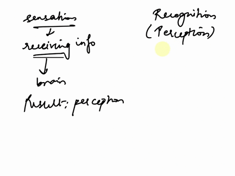 discuss-the-differences-between-sensation-and-recognition-define-each-process-amd-describe-specifically-a-where-within-the-perceptual-system-each-process-occurs-b-what-happens-at-each-stage-99784