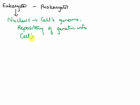 what-is-the-role-that-the-nucleus-plays-in-eukaryotic-cells-what-role-do-ribosomes-play-in-all-cells-15277