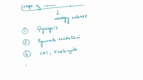 that-cellular-respiration-is-divided-into-main-parts-glycolysis-cytoplasm-the-preparatory-step-mitochondria-citric-acid-cycle-mitochondria-electron-transport-chain-mitochondria-know-that-ele-78556