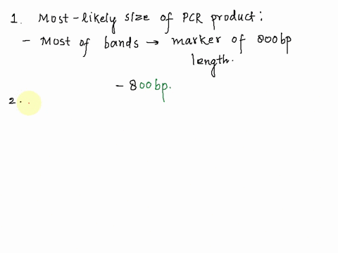 the-image-below-is-of-a-pcr-reaction-from-genomic-dna-from-several-different-samples-c-is-the-positive-control-and-c-is-the-negative-control-if-you-cannot-see-the-gel-image-download-the-pdf-90518