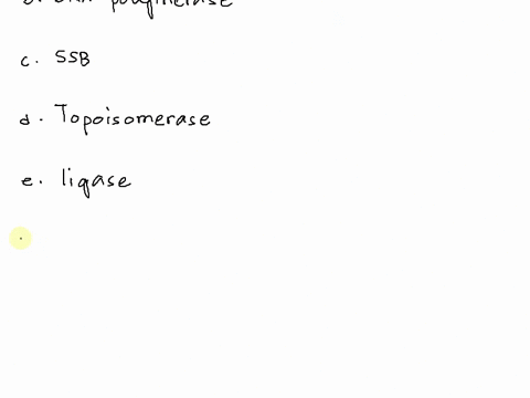 dna-replication-questions-1-draw-a-replication-fork-label-the-5-and-3-ends-and-the-leading-and-the-lagging-strands-add-a-newly-synthesized-strand-using-the-leading-strand-as-a-template-also-90883