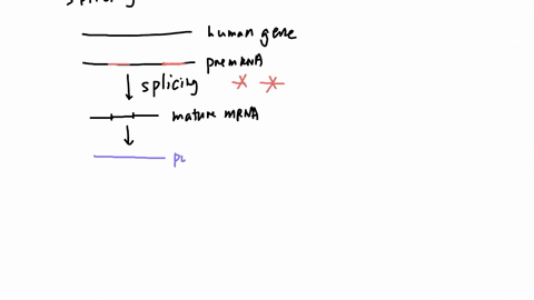you-put-human-gene-into-yeast-cell-to-be-expressed-because-yeast-are-eukaryotes-you-expect-everything-t0-be-fine-but-then-some-of-your-yeast-begin-making-protein-that-is-way-too-longl-you-se-55245