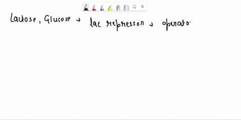 question-31-1-point-for-genotype-lacrt-lacpt-lacot-laczt-lacyt-f-lacl-lacpt-lacot-lacz-lacyt-select-the-best-description-of-beta-galactosidase-activity-in-the-following-environmental-conditi-84372