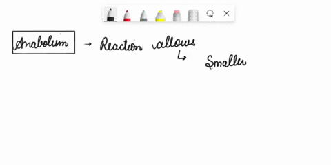 breaking-large-molecules-into-small-molecules-is-called-as-anabolism-catabolism-symbolism-all-of-the-above-70012