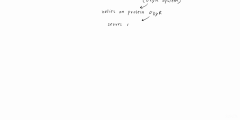 how-do-bacteria-ensure-that-only-aerobic-respiration-occurs-when-oxygenis-present-in-other-words-how-do-bacteria-keep-anaerobic-respiration-fromoccurring-when-oxygen-is-present-00495
