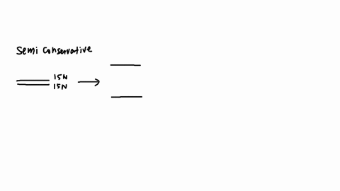 the-meselson-stahl-experiment-provided-the-necessary-evidence-t0-scover-the-mechanism-by-which-dna-replicates-they-accomplished-tnis-scovery-by-first-culturing-dna-with-the-heavy-15n-nitroge-59584
