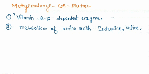 which-of-the-following-statements-regarding-methylmalonyl-coa-mutase-are-correct-methylmalonyl-coa-mutase-isa-biotin-dependent-enzyme-methylmalonyl-coa-mutase-is-important-for-the-metabolism-22389