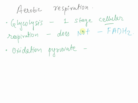 question-8-1-point-during-aerobic-respiration-fadhz-is-produced-in-1-glycolysis-2-the-oxidation-of-pyruvate-3-the-krebs-cycle-the-electron-transport-chain-5-fermentation-59434