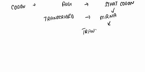 on-the-mrna-codon-table-the-first-nucleotlde-mrna-to-the-ieft-the-secand-the-sequonce-the-5cop-above-_-third-iana-trarnslat-thie-nant-15-indicated-by-54-the-poly-a-tail-is-not-shown-use-ine-62785