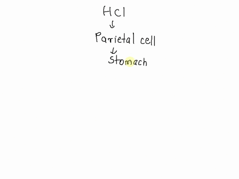hydrochloric-acid-hci-is-highly-corrosive-acid-found-in-the-stomach-tf-hci-is-however-not-actually-made-in-the-cytoplasm-of-the-parietal-cell-rather-hydrogen-and-chlorine-ions-combine-to-for-97146