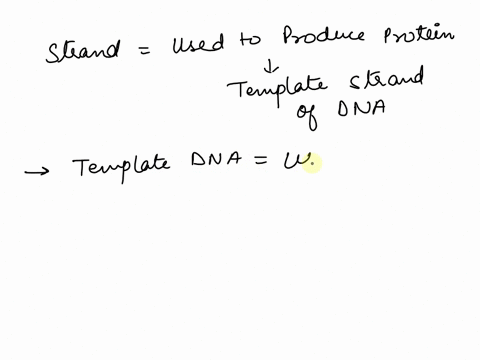 how-do-you-read-a-sequence-of-dna-template-or-non-template-strand-to-convert-it-to-an-mrna-sequence-and-to-a-protein-74725
