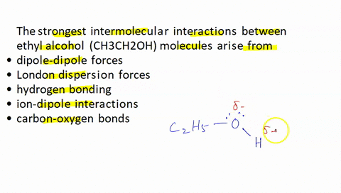 the-strongest-intermolecular-interactions-between-ethyl-alcohol-chchzoh-molecules-arise-from-dipole-dipole-forces-london-dispersion-forces_-hydrogen-bonding-ion-dlipole-interactions-carbon-o-22235