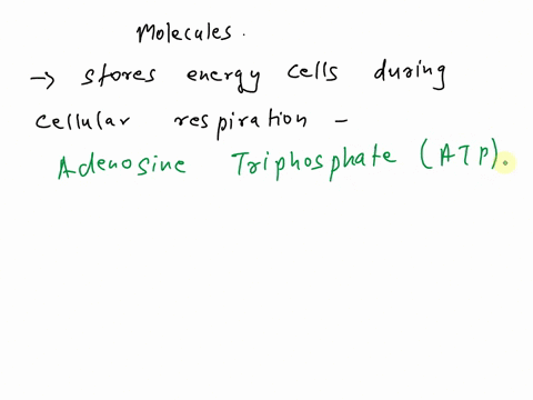 cells-use-cellular-respiration-to-get-energy-from-food-in-this-process-oxygen-is-used-to-release-the-energy-stored-in-food-this-energy-is-then-stored-in-a-certain-molecule-what-is-the-name-o-44007