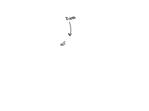 if-you-measure-the-level-of-mrna-what-level-of-the-gene-expression-control-do-you-analyze-by-this-type-of-measurement-group-of-answer-choices-replication-control-alternative-splicing-transcr-19996