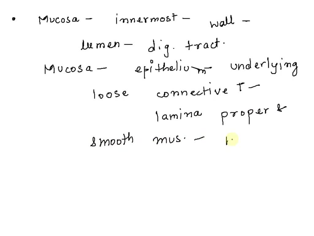 solved-question-1-which-type-of-epithelial-tissue-lines-the-windpipe