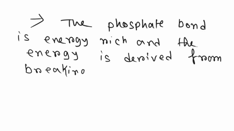 how-is-the-potential-energy-stored-in-atp-released-breaking-it-down-into-adp-and-inorganic-phosphate-stored-in-the-chemical-bonds-breaking-it-down-into-amp-and-inorganic-phosphate-stored-in-28759