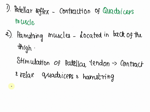 5which-muscle-contracts-during-the-patellar-reflex-6-what-happens-to-the-hamstrings-during-the-patellar-reflex-7-trace-the-path-of-the-reflex-arc-involved-with-the-patellar-reflex-57705