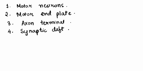 identify-the-components-of-the-neuromuscular-junction-and-summarize-the-events-involved-in-the-neural-control-of-skeletal-muscles-03792