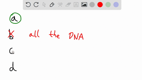 an-__________-is-a-stretch-of-dna-that-can-move-from-one-location-to-another-in-the-genome-an-the-genome_-is-a-stretch-of-dna-that-can-move-from-one-location-to-another-in-transposable-eleme-43954