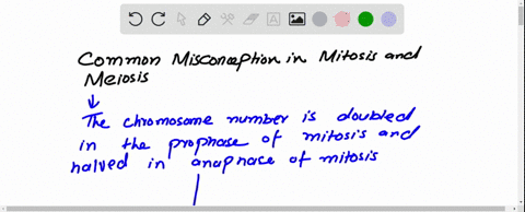 1-what-is-one-common-misconception-about-mitosis-and-meiosis2how-is-meiosis-different-from-mitosis3-what-is-separated-in-meiosis-i-what-is-separated-in-meiosis-ii4-describe-what-is-happening-10903
