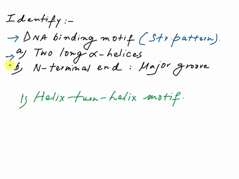 this-type-of-dna-binding-motif-has-two-long-alpha-helices-with-an-n-terminus-that-fits-in-the-major-groove-of-dna-and-takes-its-stable-dna-binding-conformation-after-association-with-the-dna-66009