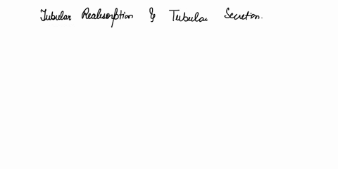 paracellular-transport-transcellular-transport-transport-proteins-embedded-within-the-luminal-andbasolateral-membranes-tubular-reabsorption-and-secretion-are-affected-by-which-of-the-folowin-70992