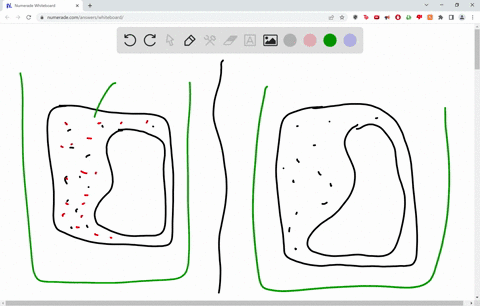 draw-a-plant-cell-in-pure-water-add-dots-to-indicate-solutes-inside-the-cell-now-add-dots-to-indicat-88737