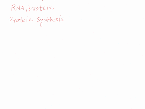 which-of-the-following-statements-concerning-ribosomes-is-true-mrna-and-translating-the-same-a-several-ribosomes-are-often-attached-or-polypeptide-ribosomes-join-amino-acids-together-molequl-52837