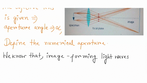 explain-the-abbe-theory-of-image-formation-in-microscope-using-the-figure-below-indicate-the-aperture-angle-define-the-numerical-aperture-for-an-objective-lens-in-a-microscope-5-marks-object-57343