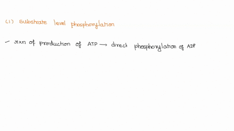 question-23-substrate-level-phosphorylation-produces-the-gross-production-of-moles-of-atp-molecules-in-glycolysis-starting-with-one-mole-of-glucose-three-four-avogadros-number-d32-none-of-th-03014