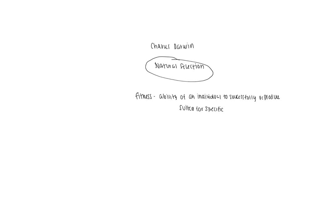 solved-q4-natural-selection-is-the-survival-of-the-fittest-is-a