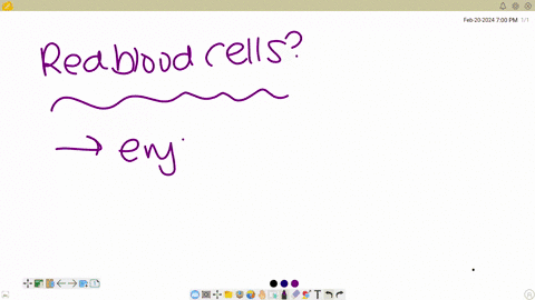what-is-the-main-function-of-red-blood-cells-in-the-body-a-transporting-oxygen-b-fighting-infections-c-clotting-blood-d-carrying-waste-products