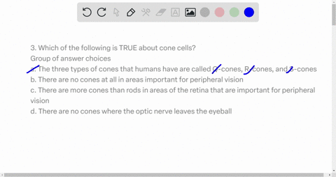 3-which-of-the-following-is-true-about-cone-cells-group-of-answer-choices-a-the-three-types-of-cones-that-humans-have-are-called-q-cones-r-cones-and-s-cones-b-there-are-no-cones-at-all-in-ar-54878