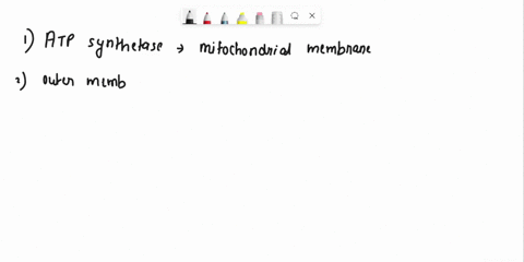 label-the-indicated-regions-of-the-mitochondria-using-the-choices-on-the-left-correctly-atp-synthetase-outer-membrane-matrix-electron-carriers-atp-h-pumps-crislae-atpo-electron-carriors-prev-71481