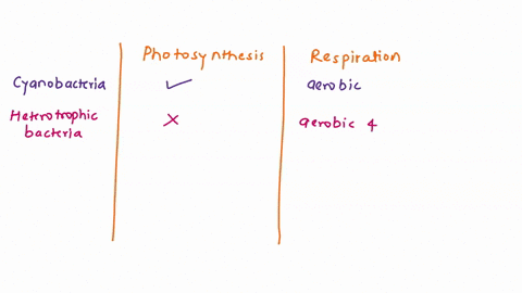 exercise-6-summary-of-photosynthesis-and-respiration-this-table-summarizes-organisins-from-domain-bacteria-by-energy-processing-and-domain-eukarya-by-taxonomic-kingdom-determine-what-typetyp-58459